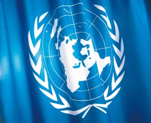 United Nations Flag with logo